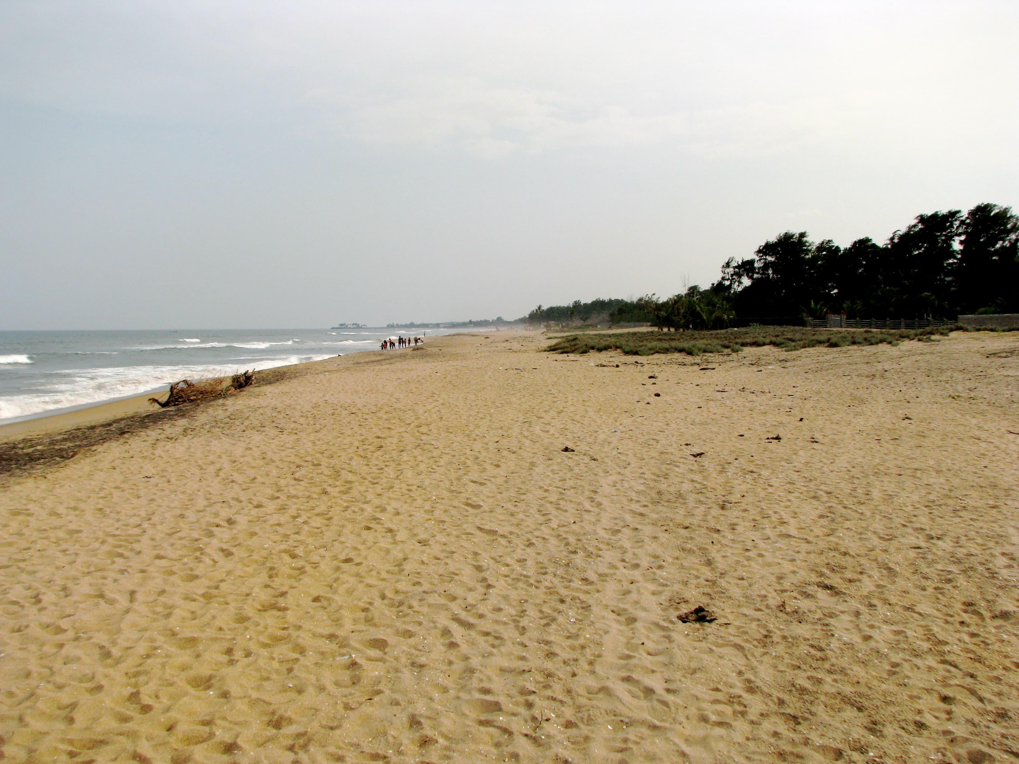 Golden sand view of VGP Golden Beach