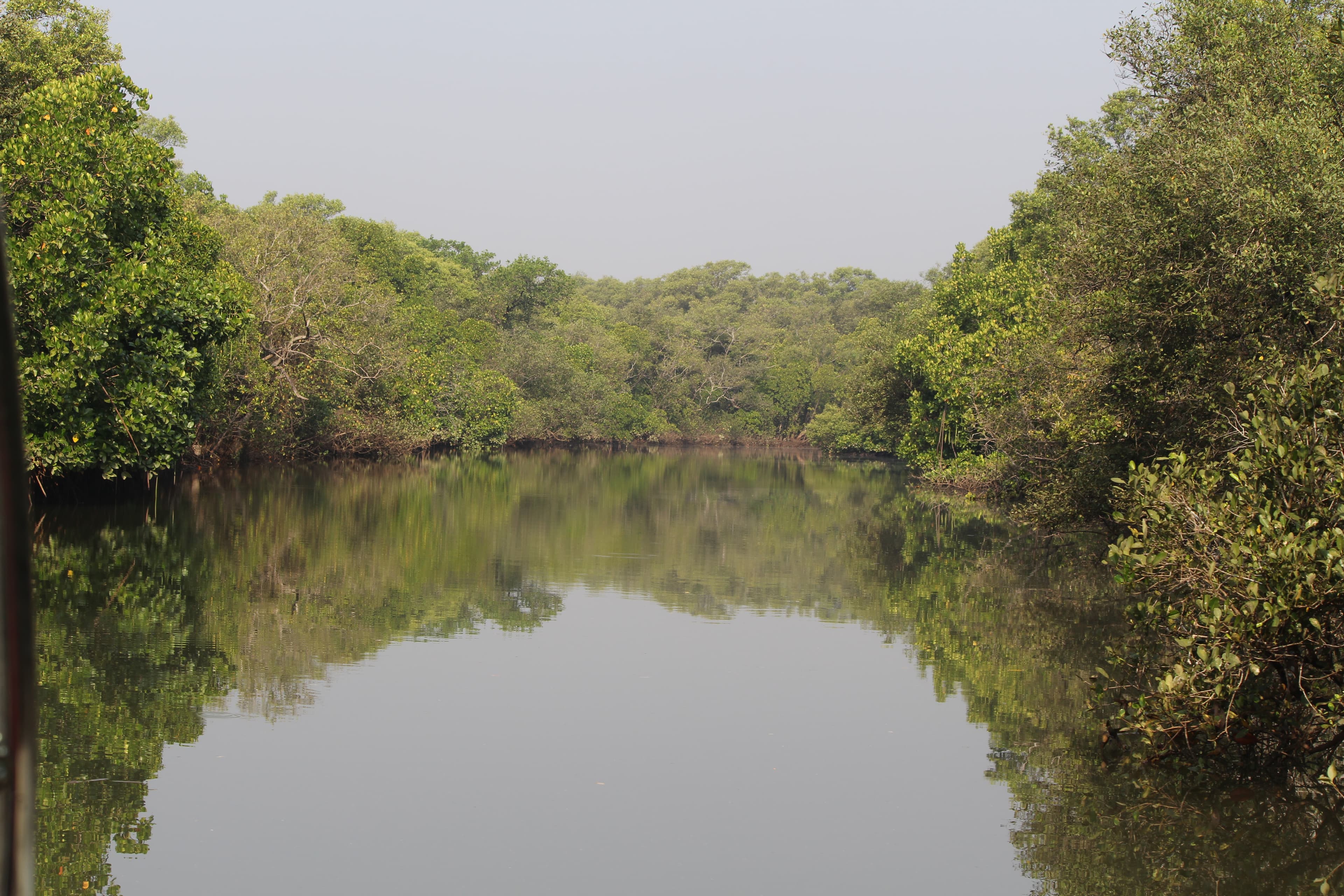 Boat view of Salim Ali Lake