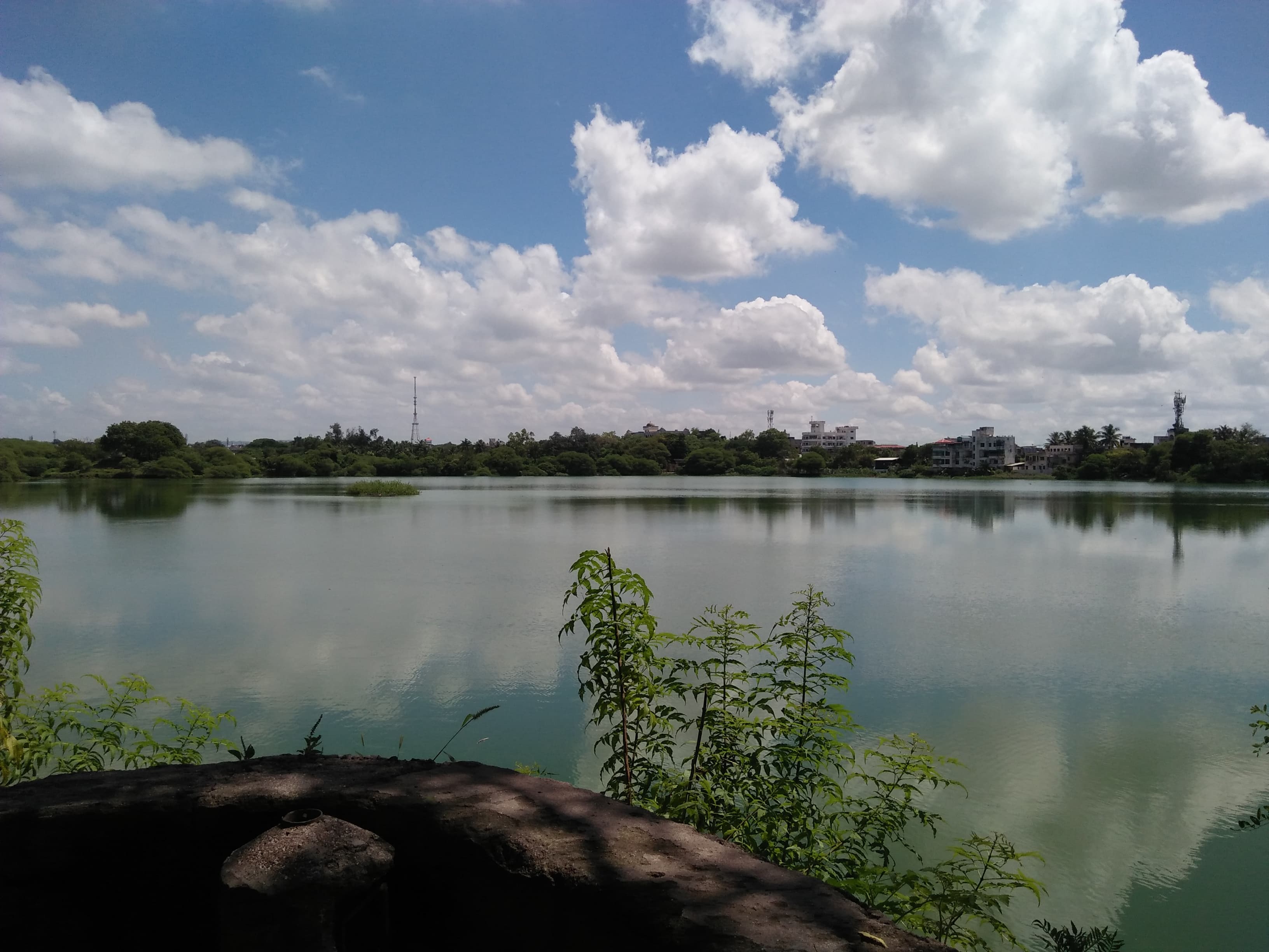 Shore view of Salim Ali Lake