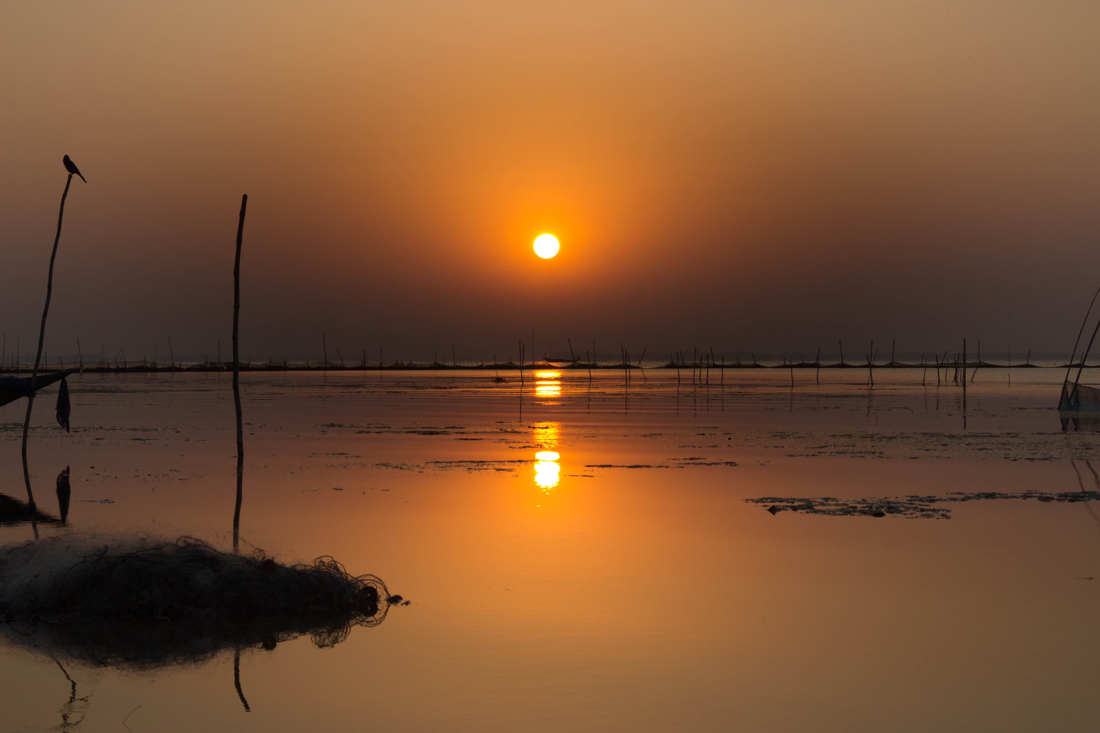 Sunset views from Chilika Lake