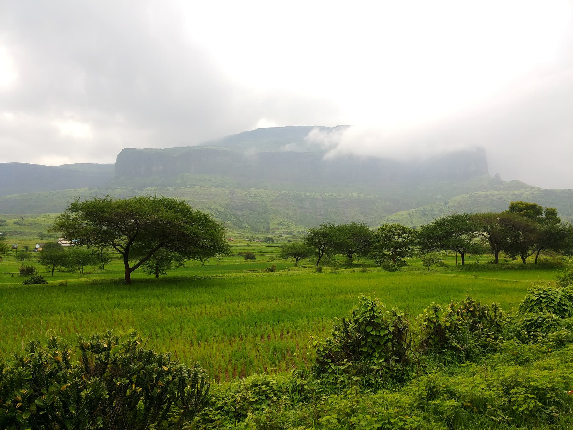 Anjaneri Hills