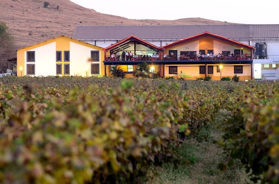 Sula Vineyards