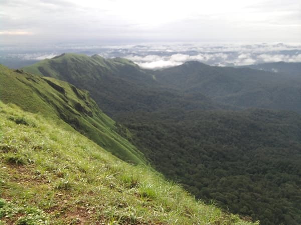 Scenic view of Kodachadri Hills