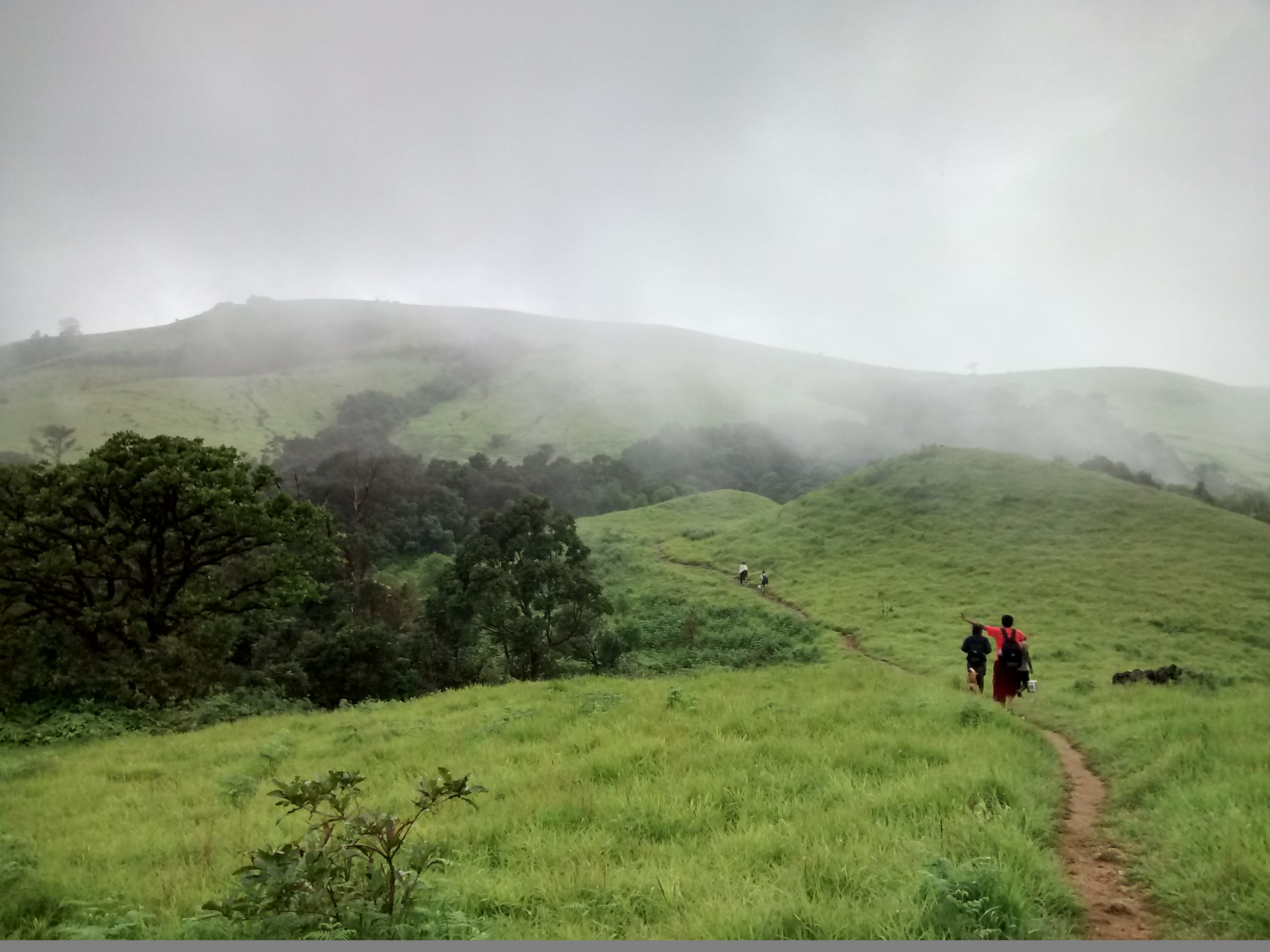 Misty morning in Kodachadri