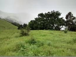 Foggy trail in Kodachadri