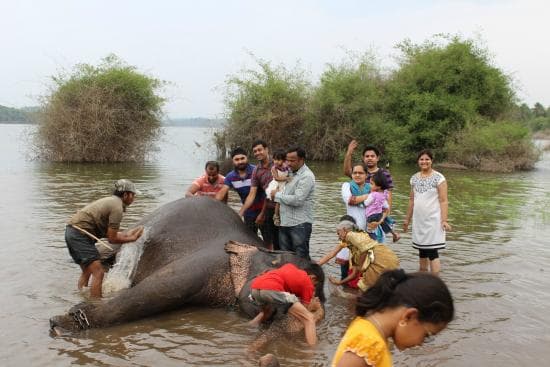 Family visiting Sakrebailu Elephant Camp