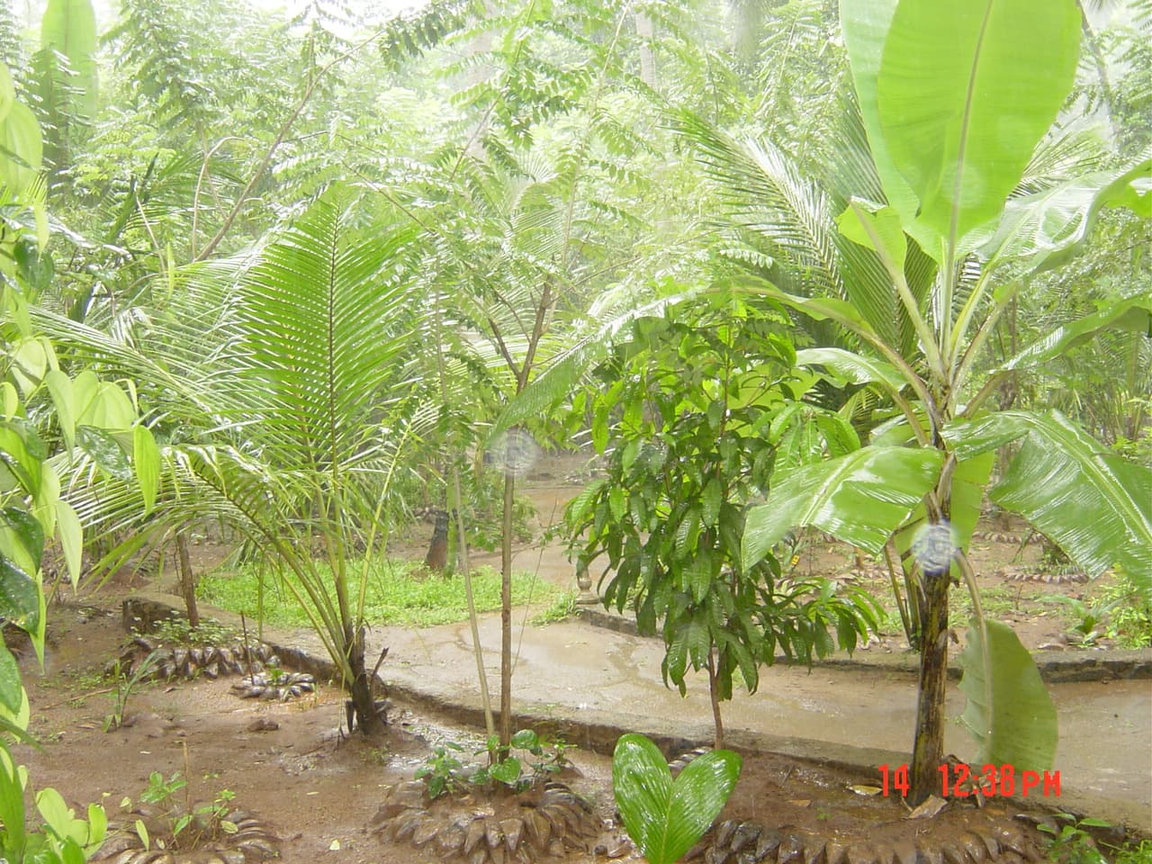 Spice plantation visit 