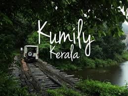 Spice Hub of Kerala