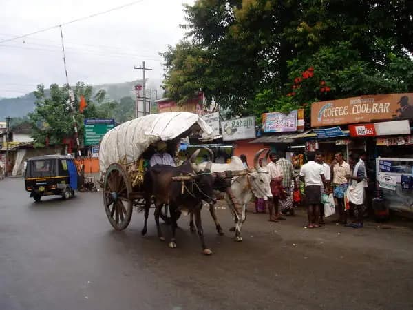 Busy streets of Kumily