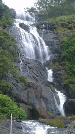 Nature's beauty at Pandikuzhi waterfall
