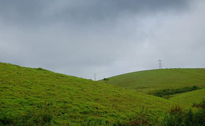 Vagamon's tranquil hills