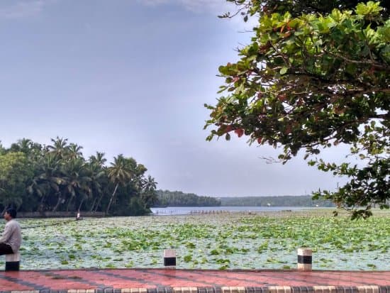 Serene waters of Vellayani Lake