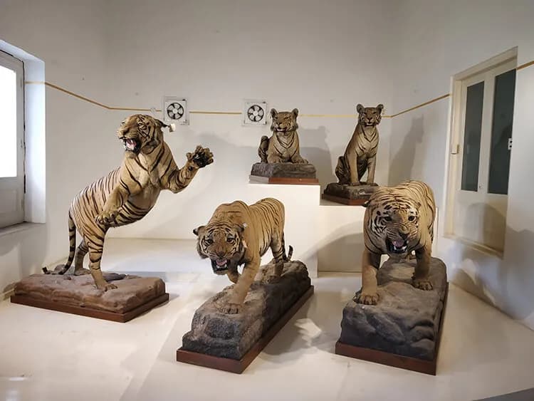 Jai Vilas Palace Museum 