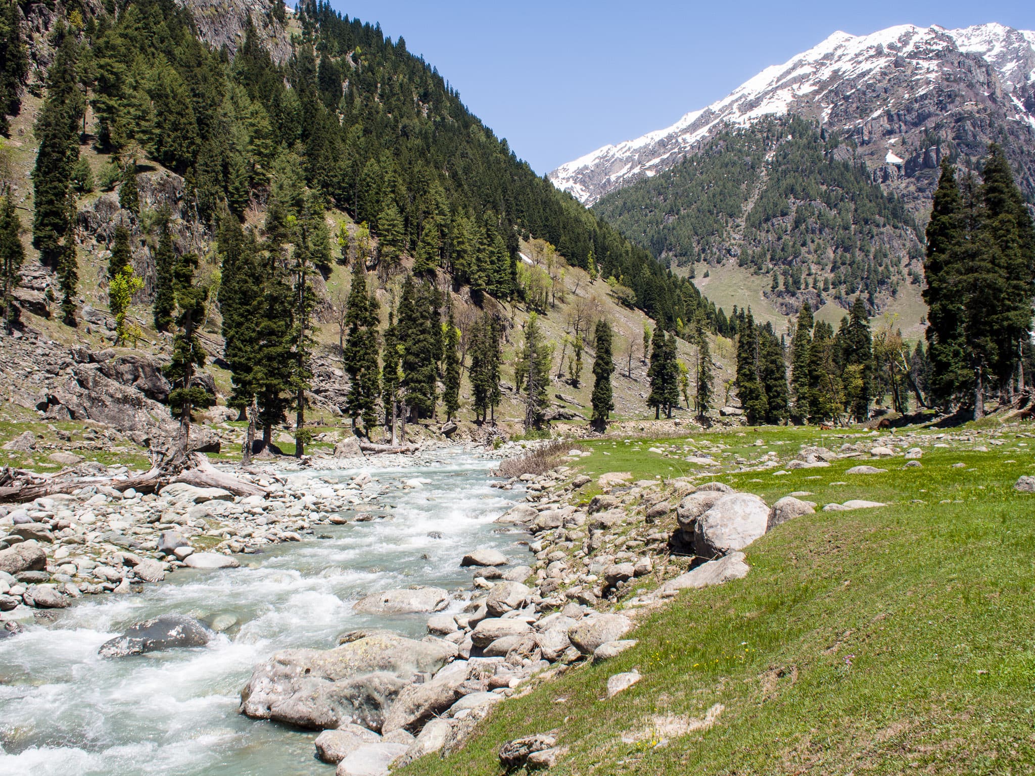 Lidder Valley