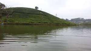 Nature at Vagamon Lake