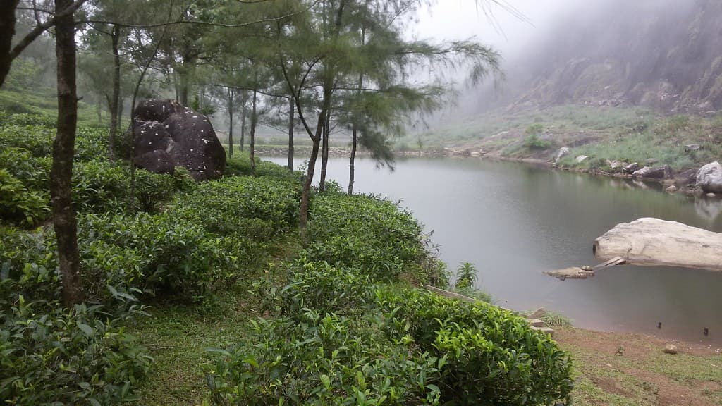 Vagamon Lake amidst lush hills