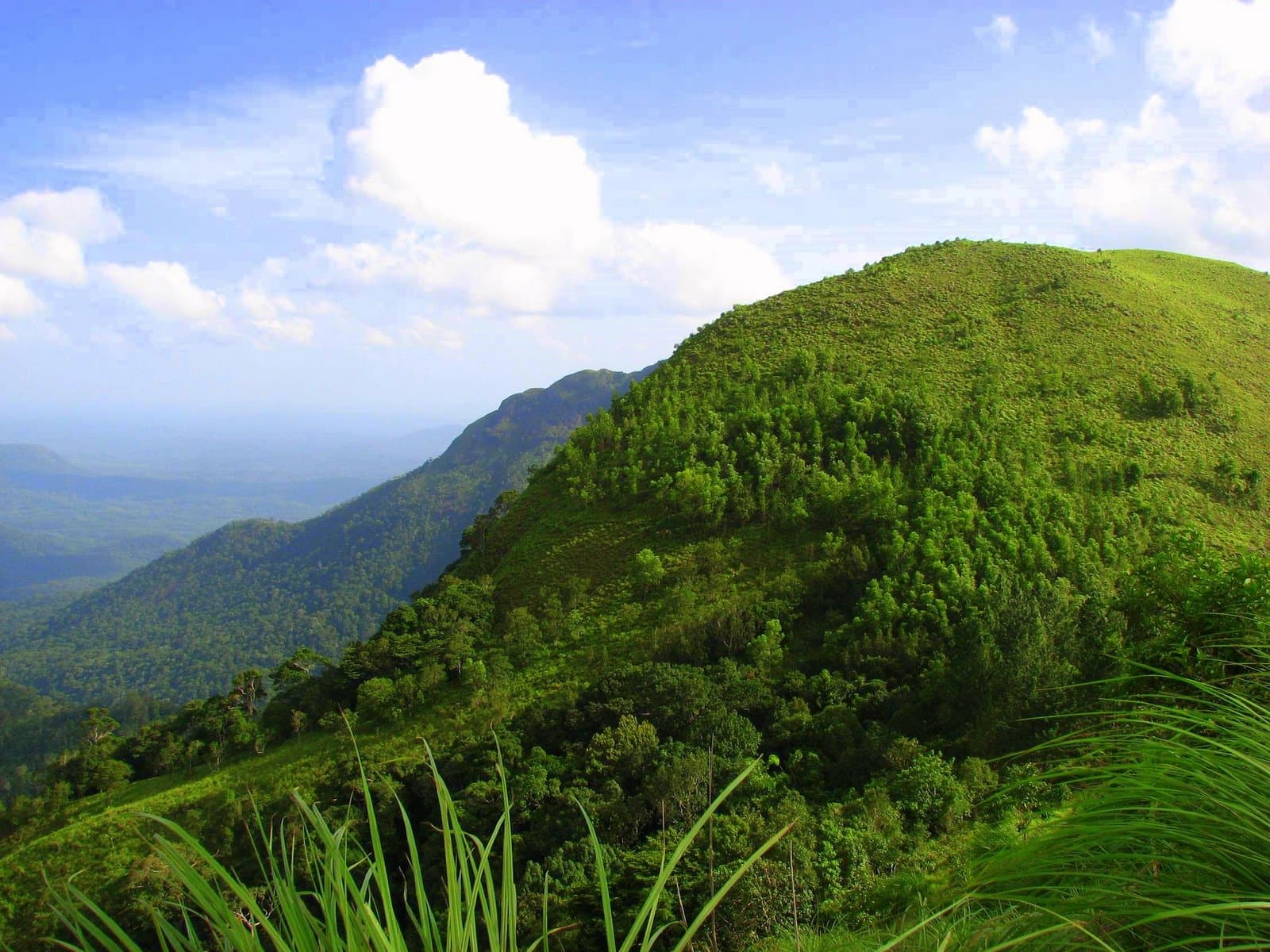 Green hills of Ponmudi