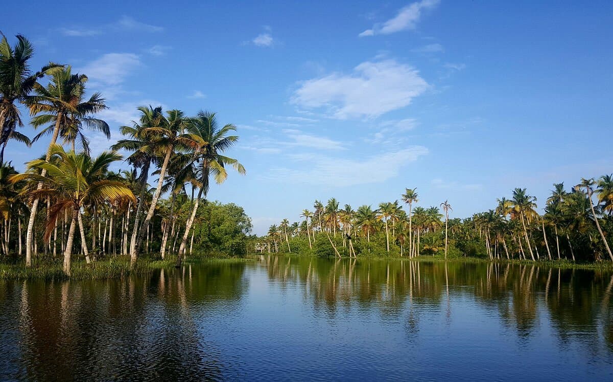 Backwaters of Poovar Island