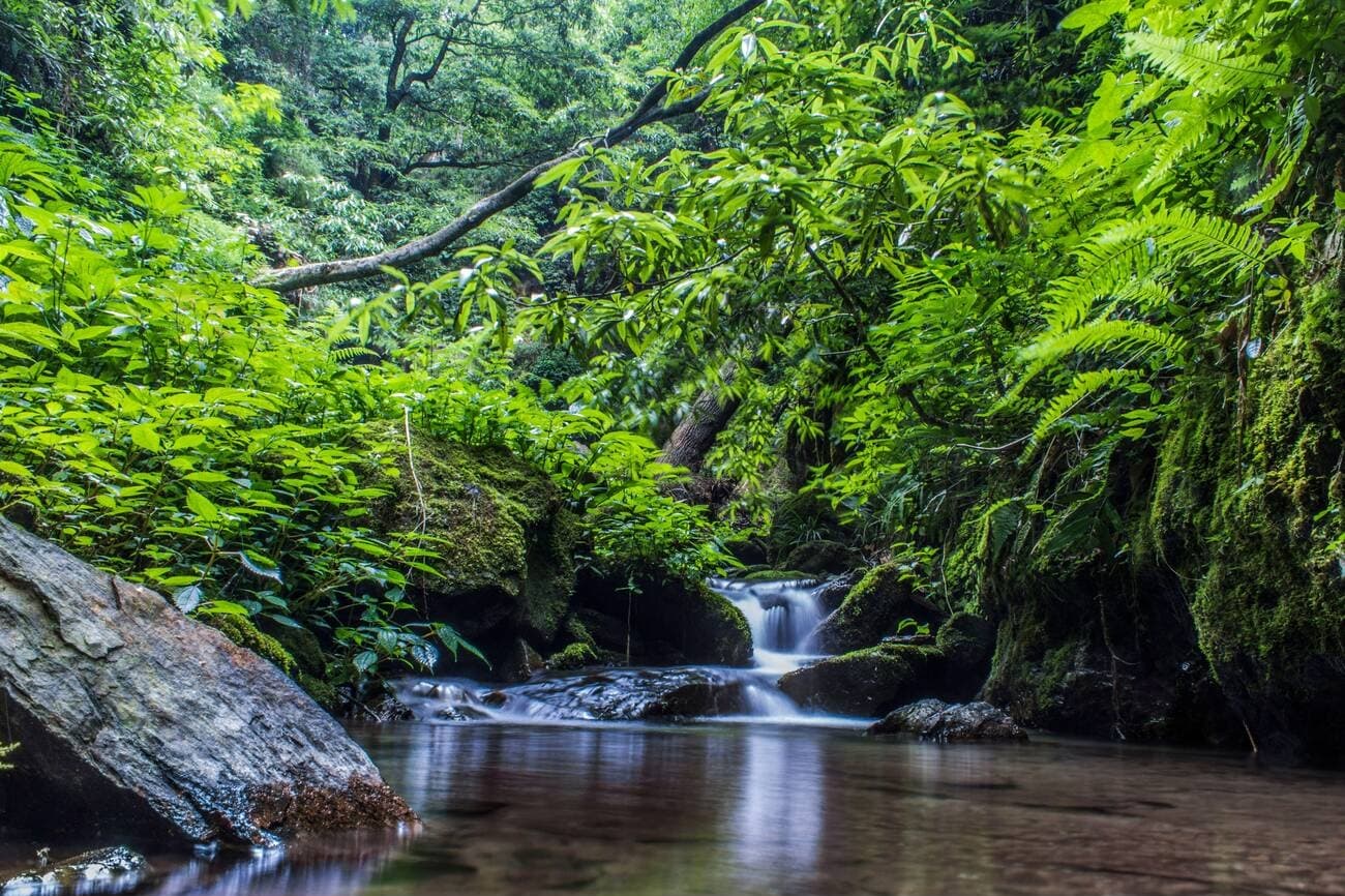 Jibhi Waterfall