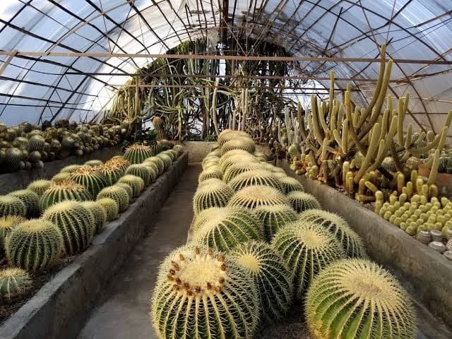 View of Pine View Nursery