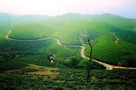 Elapara View Point surrounded by nature