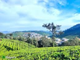 Natural beauty at Elapara View Point