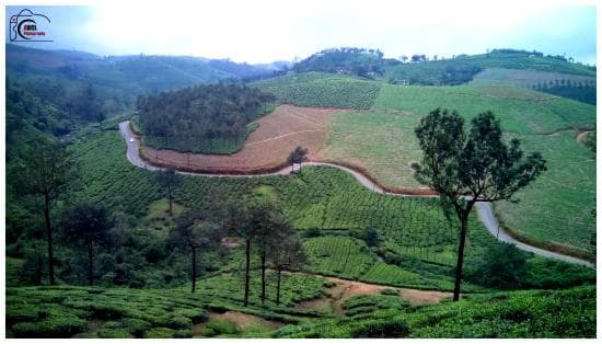 View from Elapara View Point in Vagamon