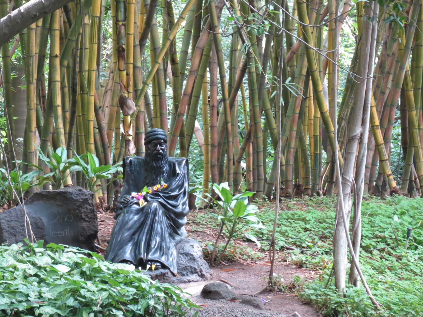 Osho Garden