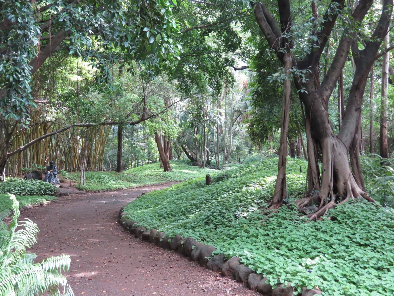 Osho Garden