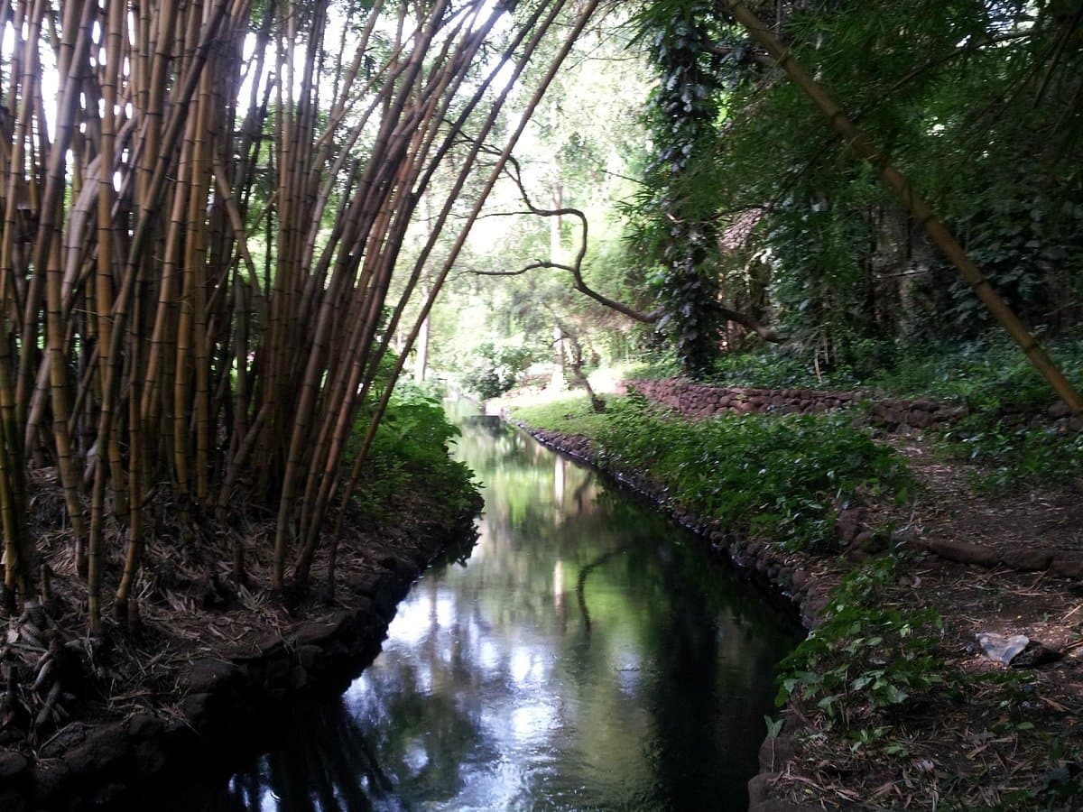 Osho Garden