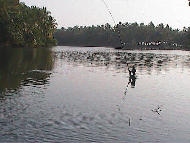 View of Karamana River