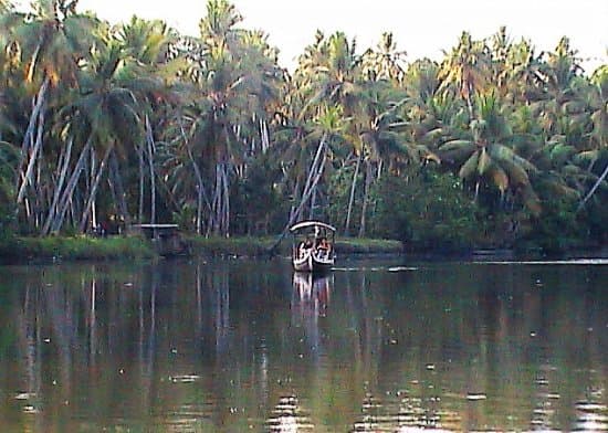 Lush vegetation near Karamana River