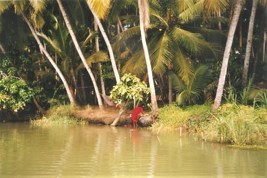 Scenic banks of Karamana River