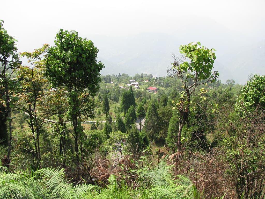 Walk way in Durpin Dara Hill