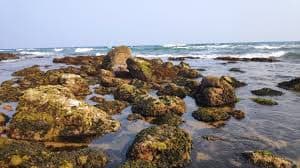 Rocks in Rushikonda Beach