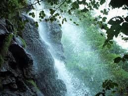 Forest view of Katiki Waterfalls