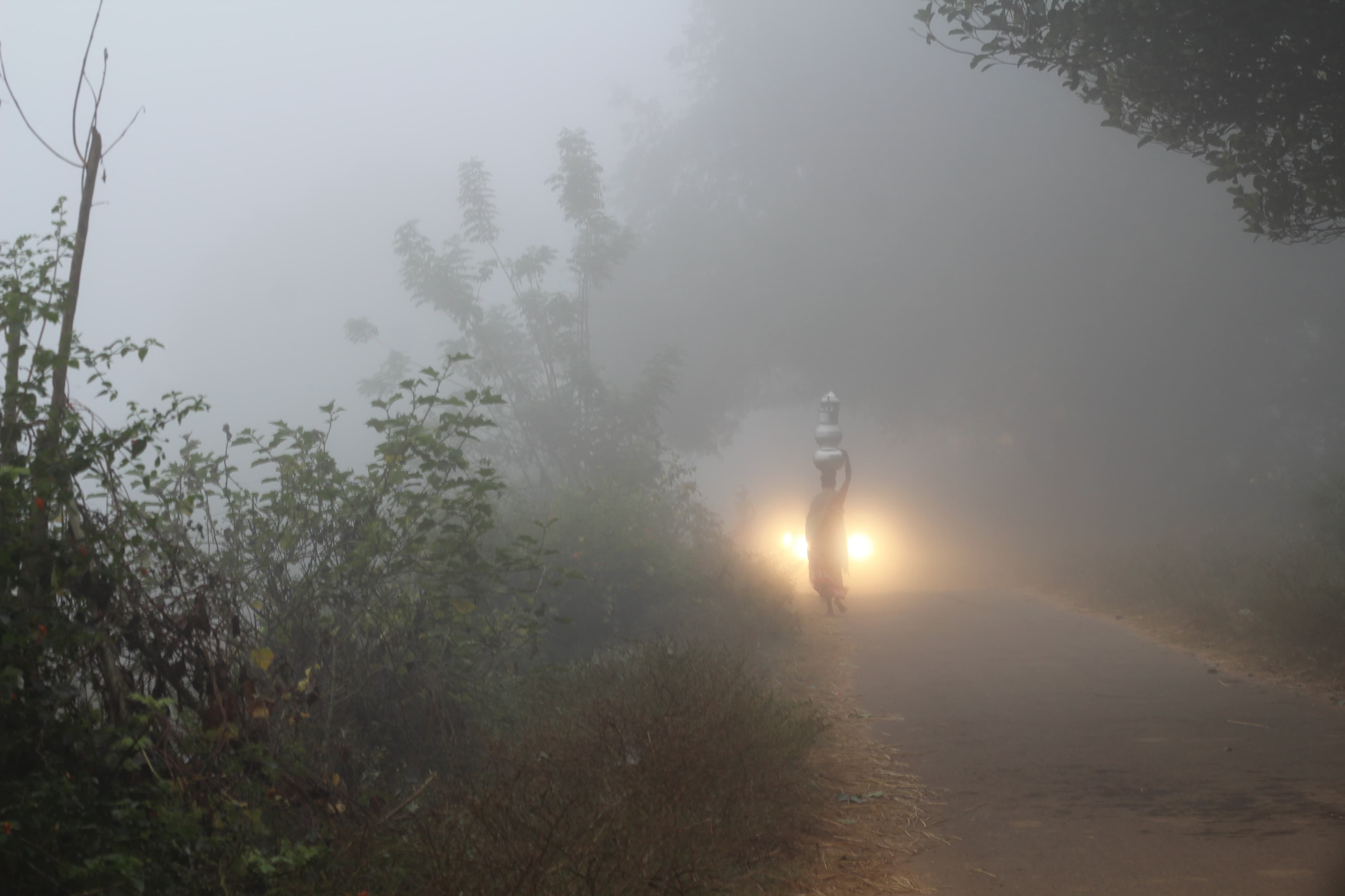 Complete fogy day road view of Lambasingi