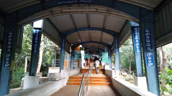 Devotees climbing Srivari Mettu