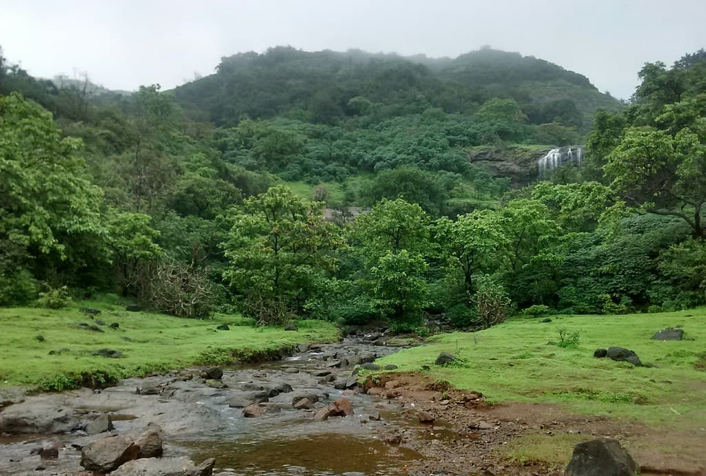 Greenery in Kune waterfalls