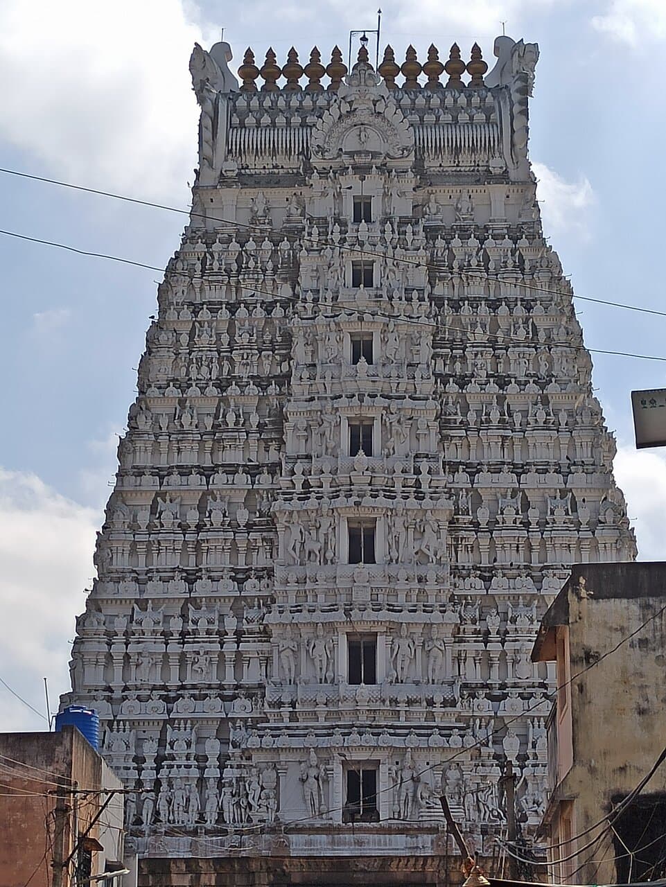 Intricate carvings at Sri Govindarajaswamy Temple