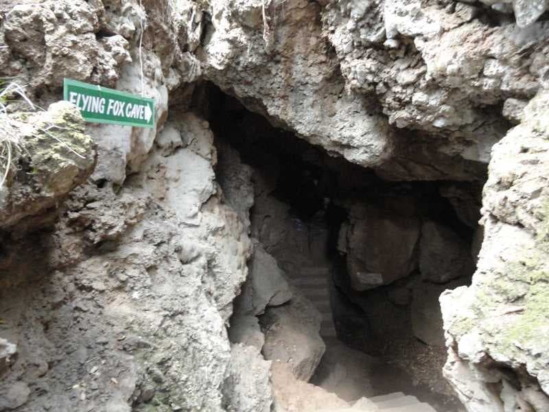 Eco Cave Gardens