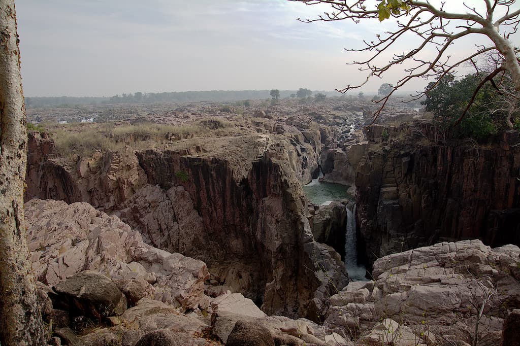 Forest view of Raneh Falls