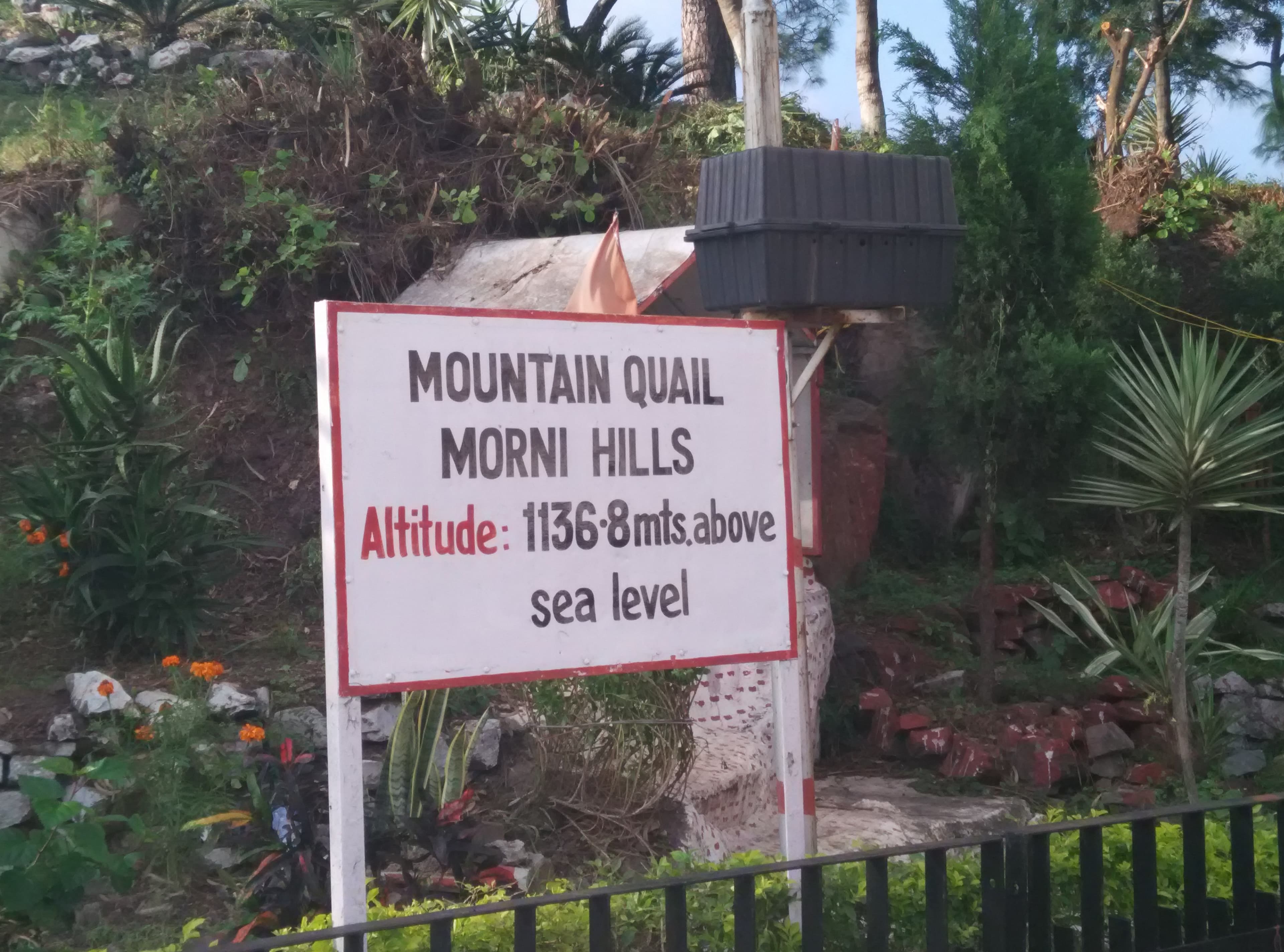 Morni Hills