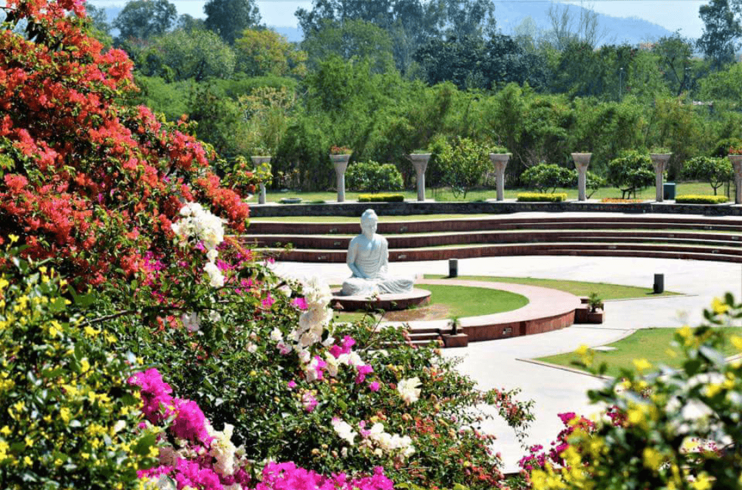 Garden of Silence