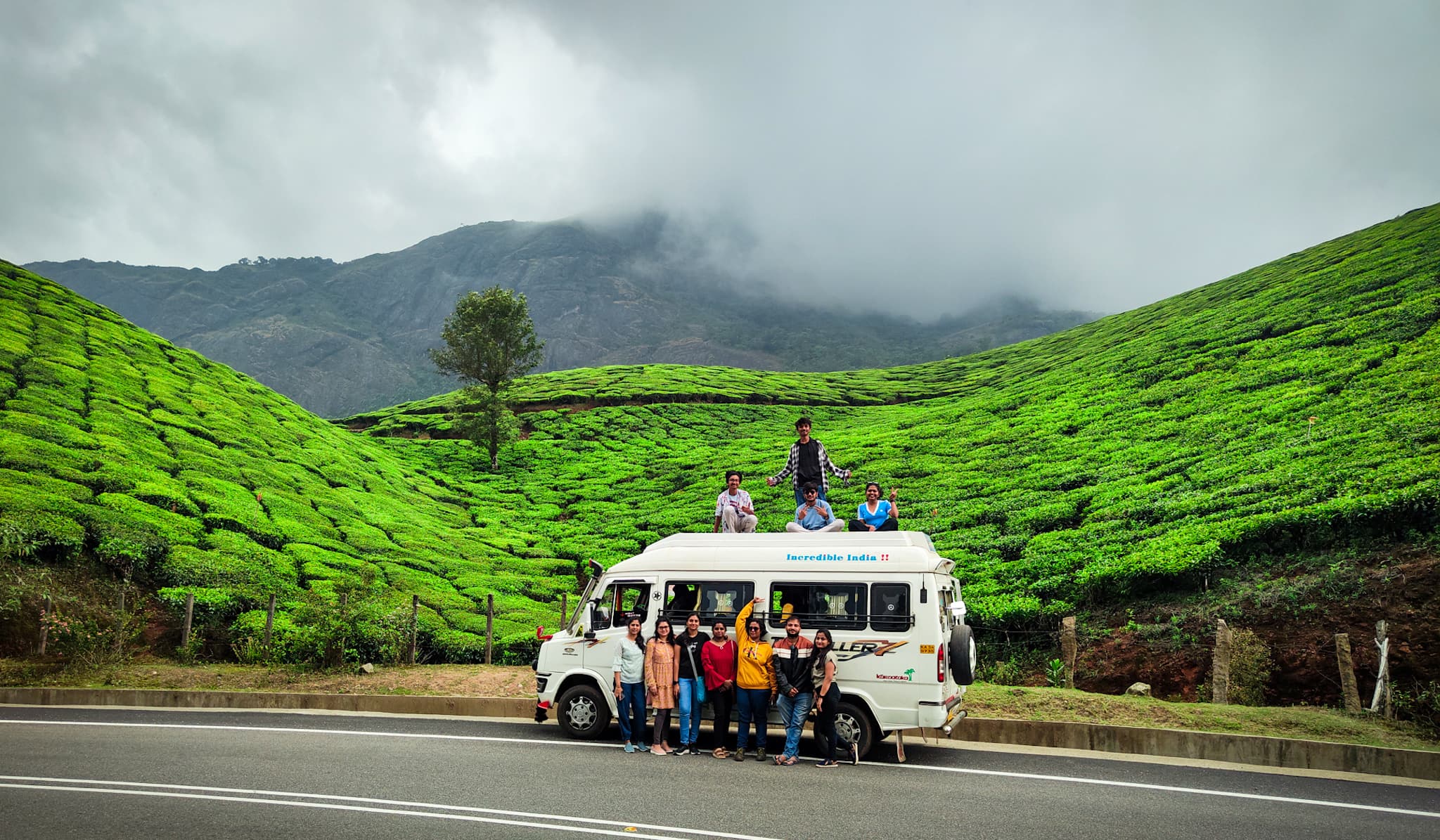 Tea estate, Munnar