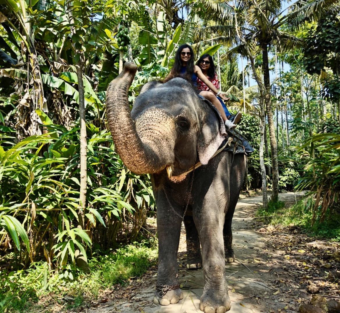 Elephant camp, thekkady