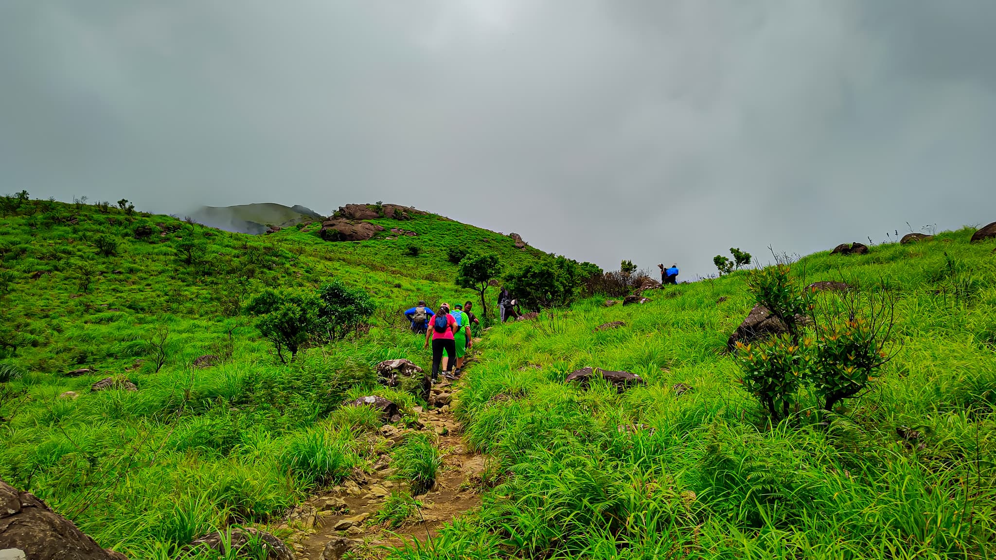 Tadiandamol hiking trail