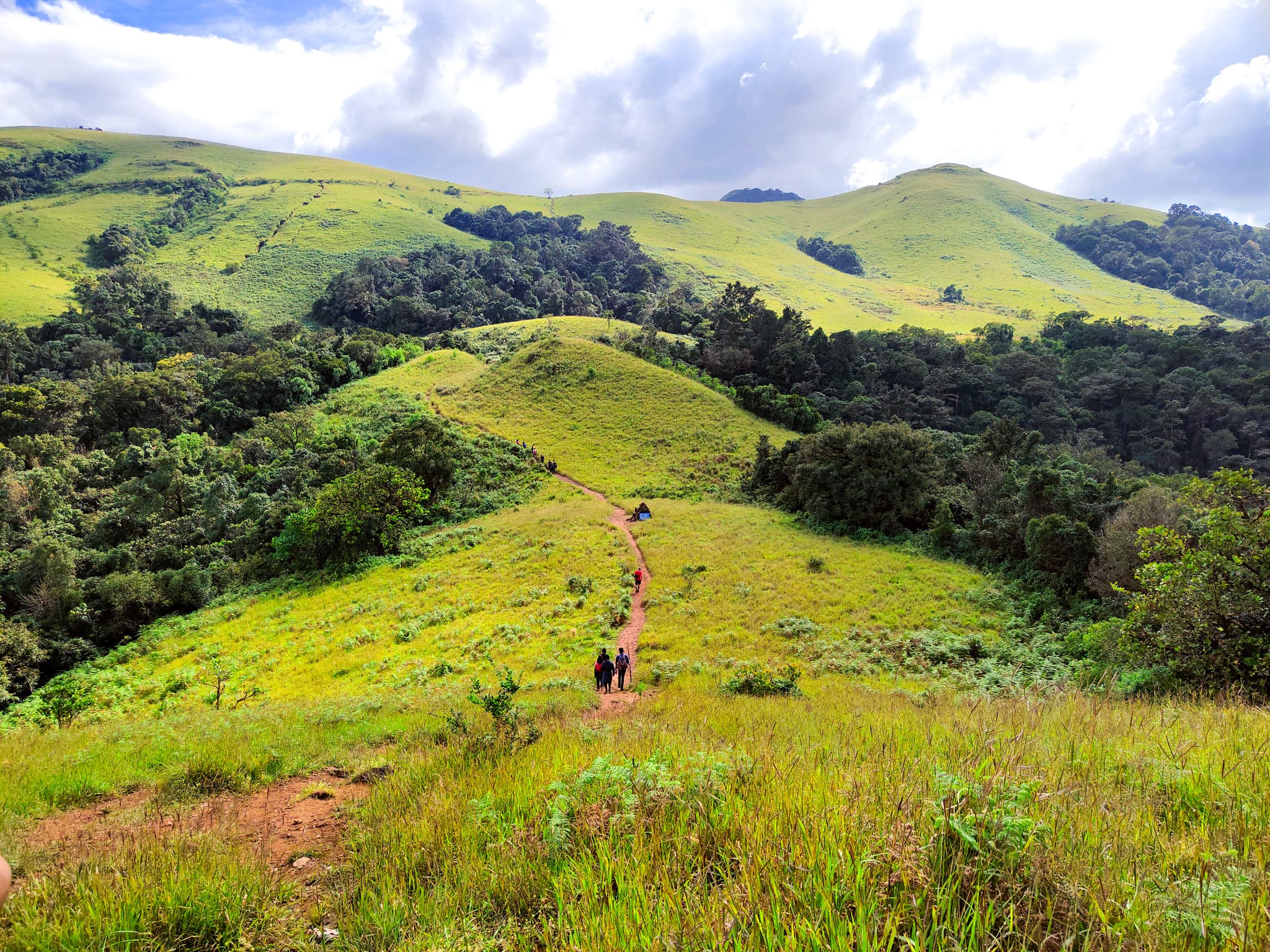 Kodachadri Trekking