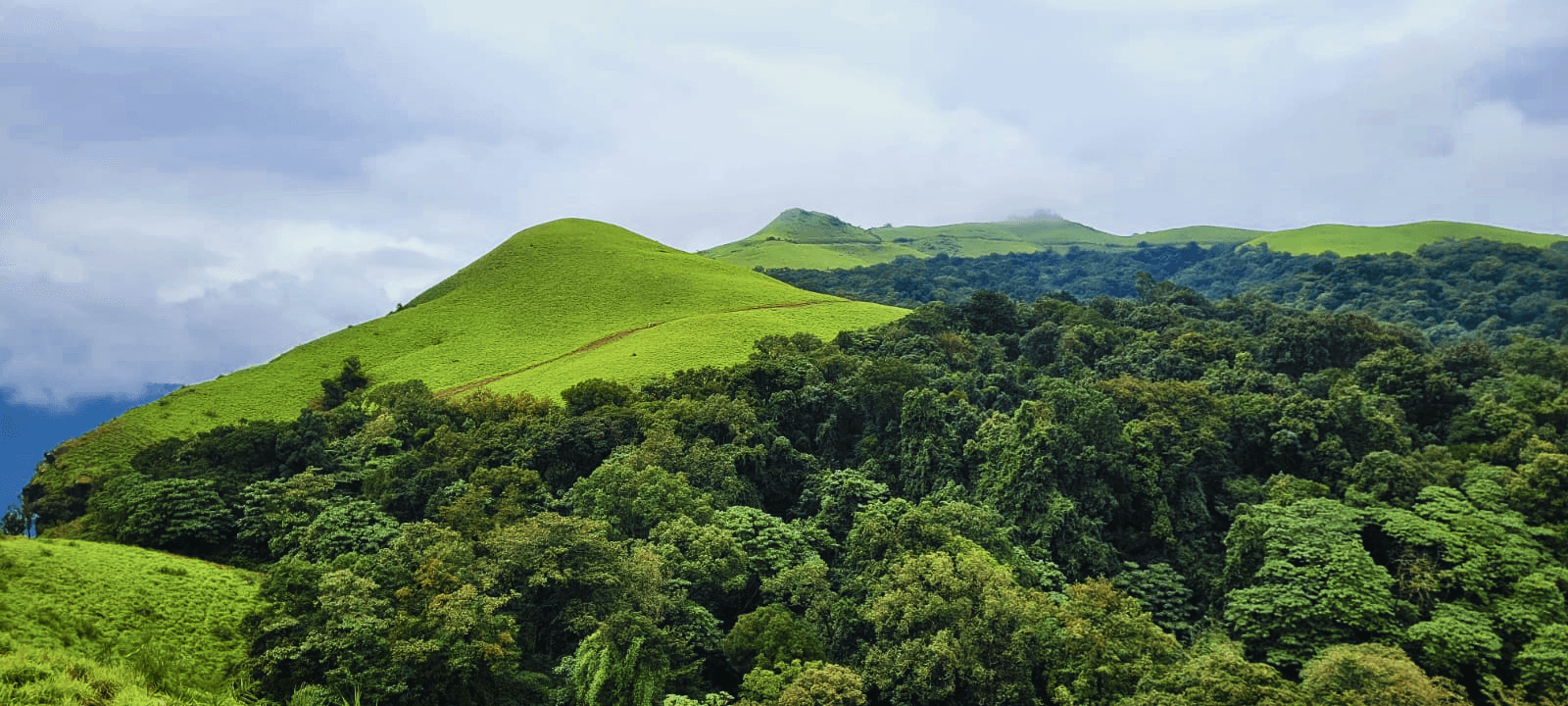 Bandaje Falls Trek