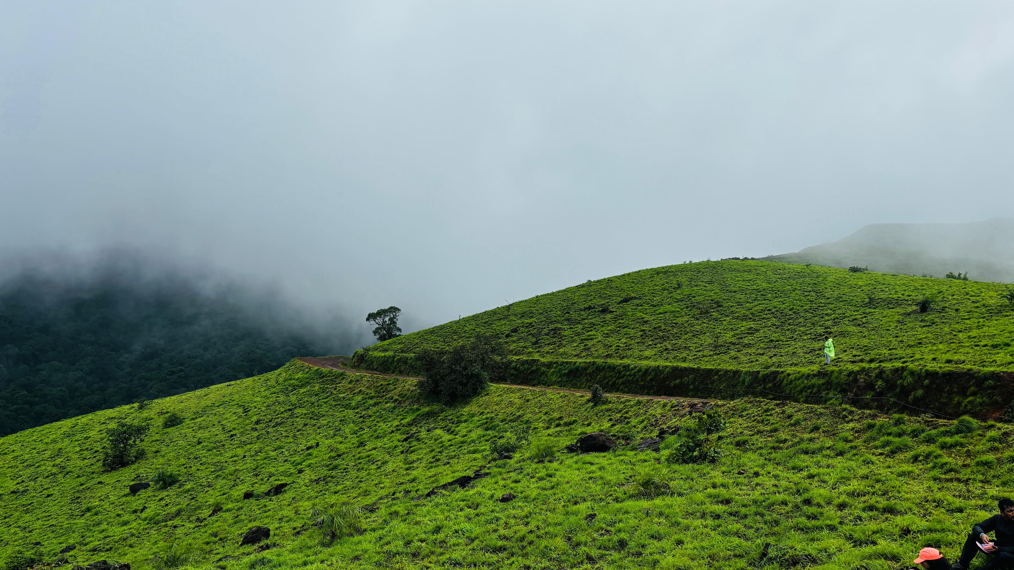 Kodachadri Trek